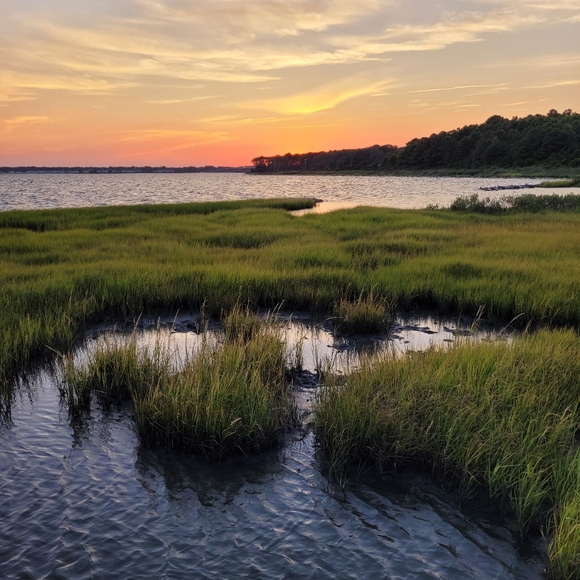 Meet your Posher, Holly - Picture 4 of 4